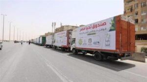 إعلامية فلسطينية: الدعم المصرى لغزة مياه تروى غصن الزيتون ليزداد صموده 2 IMG 20231118 WA0007