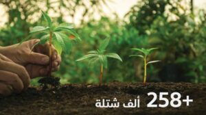 البيئة: مبادرة "لنكن قدوة" تغرس 258 ألف شتلة في 682 مبنىً بفروع الوزارة 4 hthtryjj