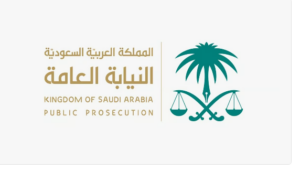 النيابة العامة تعلن إجراءات لحماية الشهود والخبراء خلال المحاكمات 3 النيابة العامة تعلن إجراءات لحماية الشهود والخبراء خلال المحاكمات