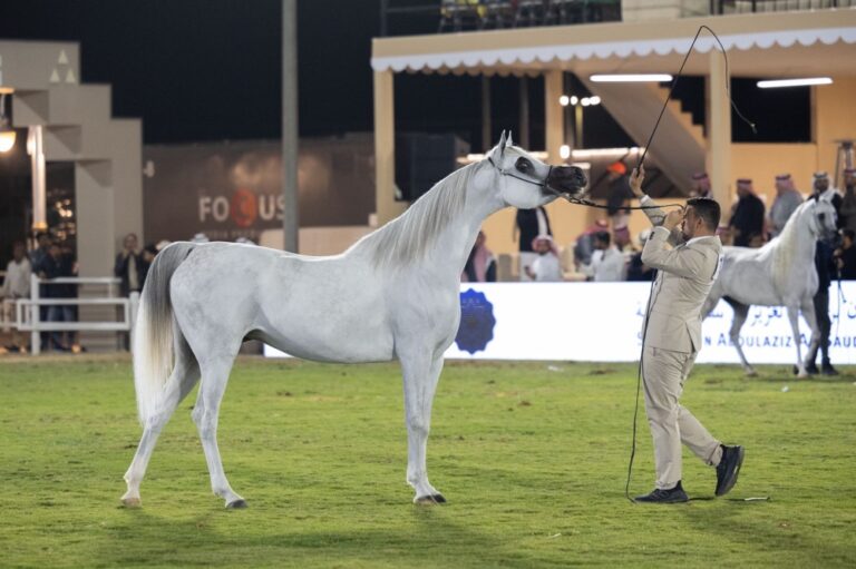 انطلاق-مهرجان-الأمير-سلطان-بن-عبدالعزيز-العالمي-للجواد-العربي