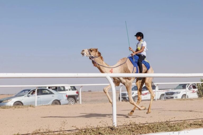 انطلاق-معسكرين-للهجانة-والهجانات-المبتدئين