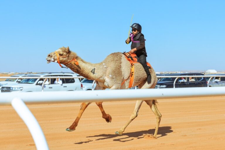 سيطرة-سعودية-على-أشواط-سباق-الهجانة-للرجال-والسيدات