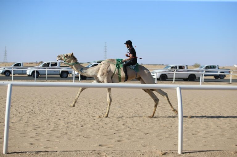 سعودي-وقطري-وإماراتي-يتنافسون-على-“سيف-السعودية”