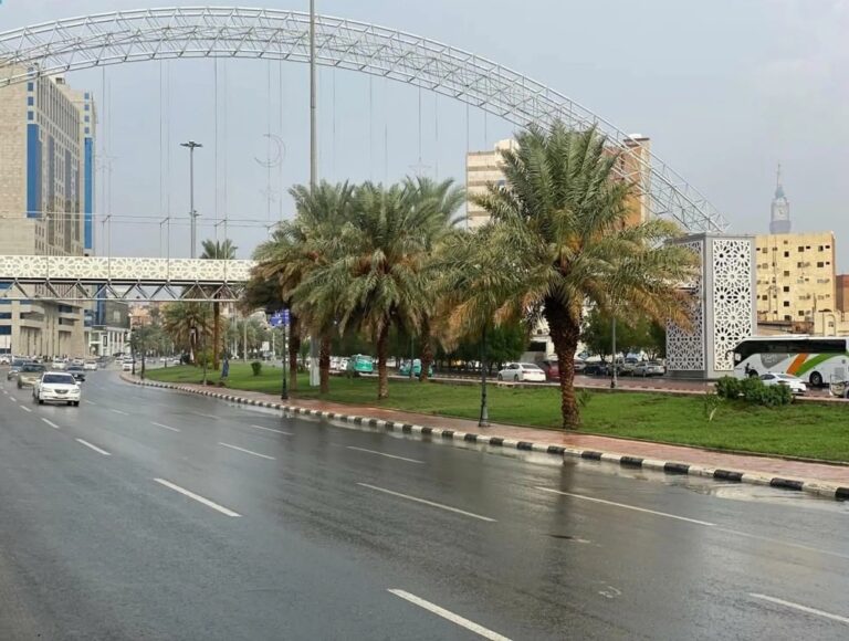 حالة-الطقس.-أمطار-رعدية-ورياح-مثيرة-للأتربة-على-9-مناطق