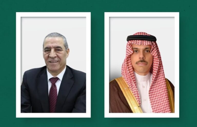 وزير-الخارجية-يبحث-العلاقات-الثنائية-مع-نائب-رئيس-فلسطين