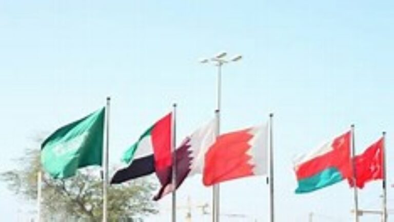 النزاعات-والرسوم-الجمركية-
وأسعار-النفط-تؤثر-على-توقعات-اقتصاد-دول-الخليج