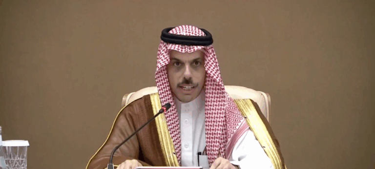 وزير-الخارجية-يبحث-مستجدات-الأوضاع-في-المنطقة-مع-نظيره-الأيرلندي