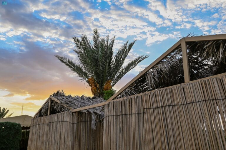 موسم-“الخرفة”.-مزارع-النخيل-في-العقيق-تنتج-40-طنًّا-سنويًّا