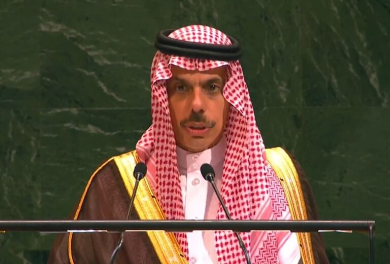 وزير-الخارجية-بمؤتمر-“حل-الدولتين”:-السلام-لا-يتحقق-عبر-سلب-الحقوق