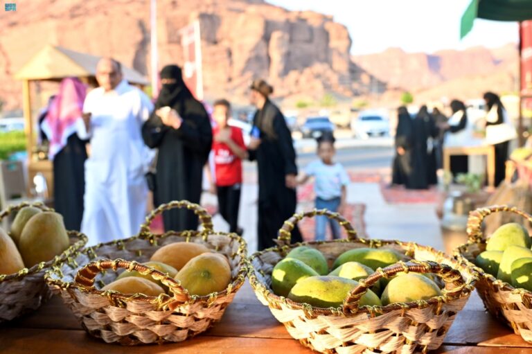 موسم-الفواكه-الصيفية-في-العُلا.-أجواء-تعكس-أصالة-الموروث-الزراعي