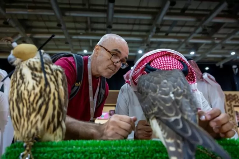 المزاد-الدولي-يعزز-جودة-إنتاج-سلالات-الصقور-في-المملكة