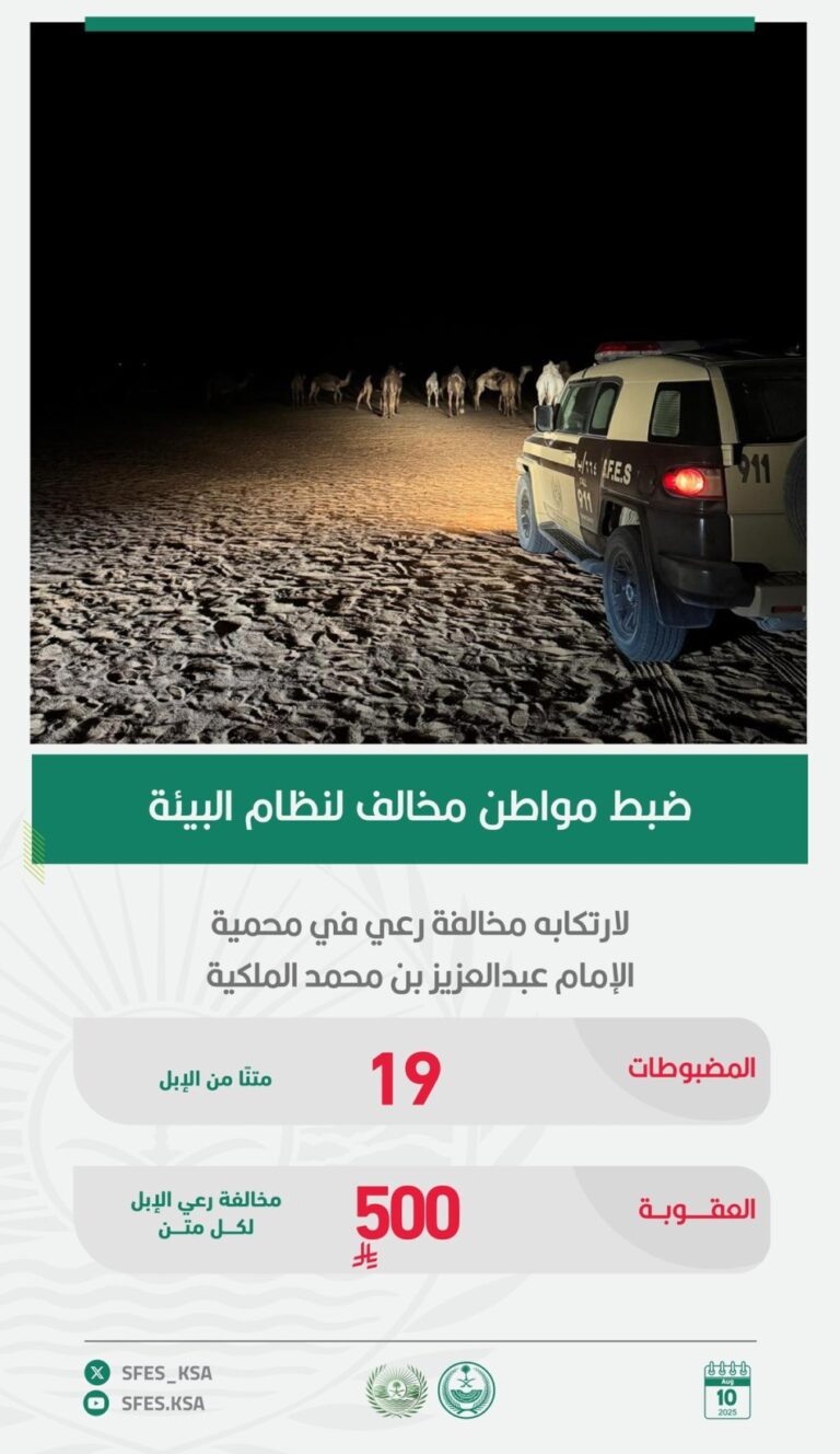 ضبط-مواطن-ارتكب-مخالفة-رعي-19-متنًا-من-الإبل.-وهذه-أرقام-الإبلاغ