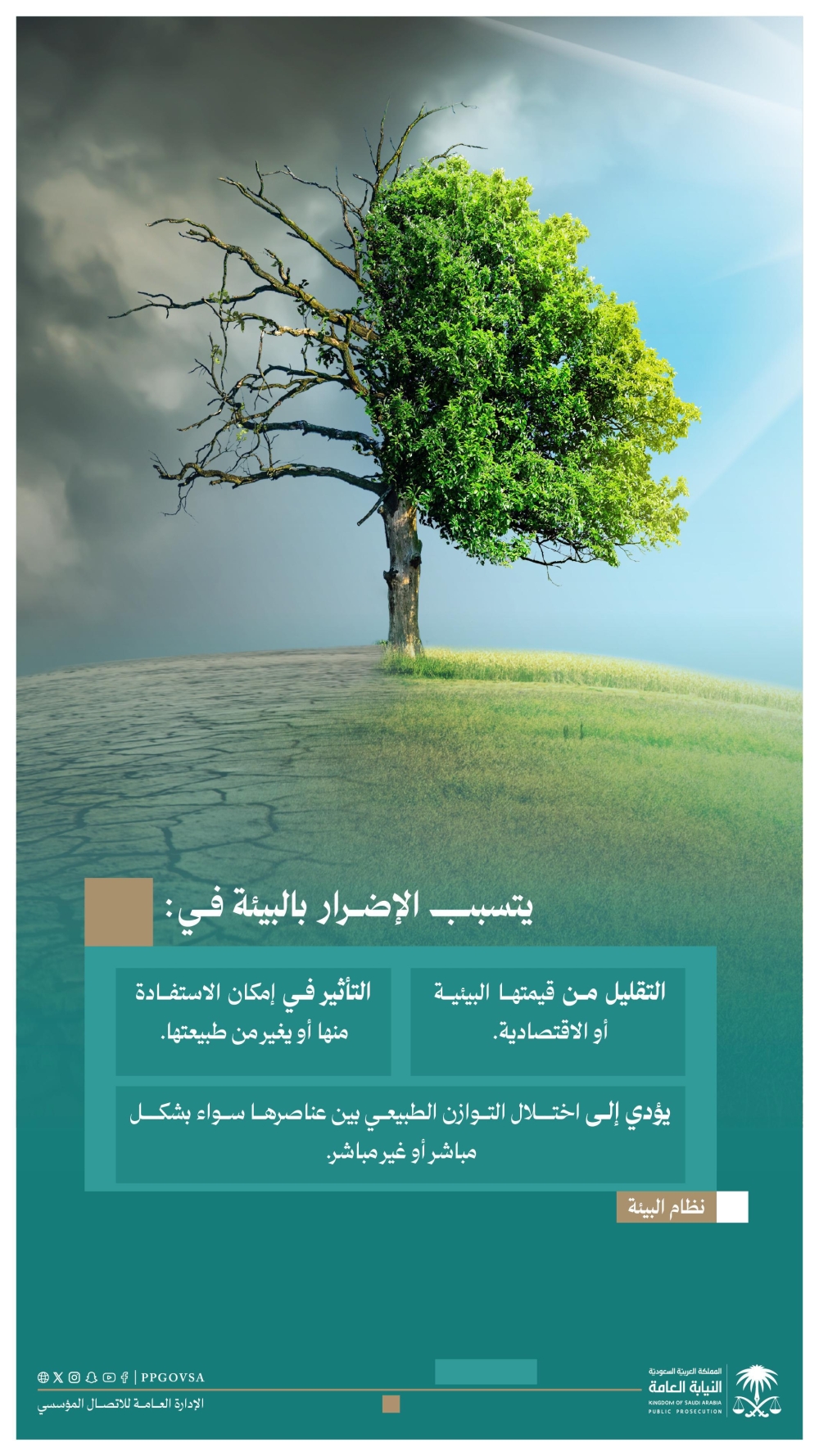 النيابة-تحذر-من-الإضرار-بالبيئة.-يقلل-قيمتها-ويخل-بالتوازن-الطبيعي