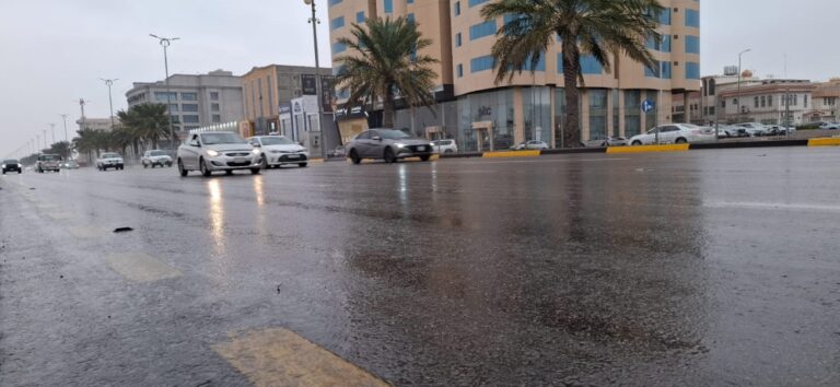 طقس-الأربعاء.-أمطار-خفيفة-على-أجزاء-من-منطقة-الرياض