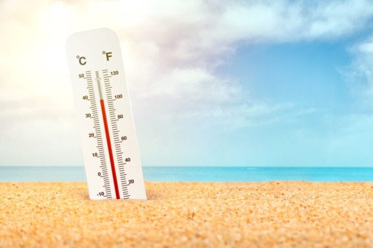 الأحساء-الأعلى.-بيان-درجات-الحرارة-المتوقعة-على-مدن-المملكة
