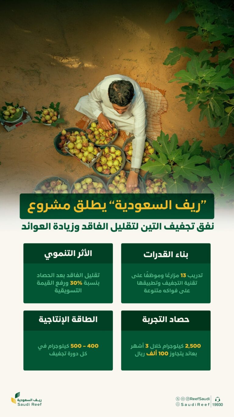 “ريف-السعودية”-يُطلق-مشروع-نفق-تجفيف-التين.-100-ألف-ريال-عوائد-3-أشهر