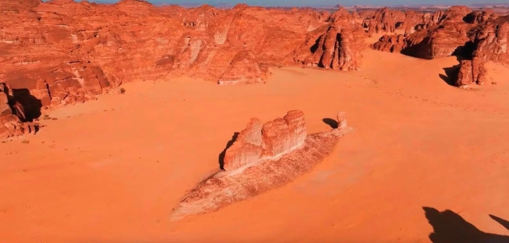 500-مليون-سنة-و200-متر-طول.-قصة-مذهلة-لسمكة-صحراء-العُلا