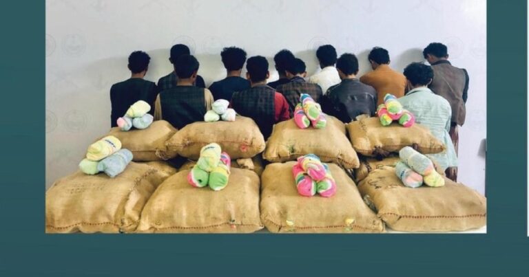 جازان-وعسير.-ضبط-15-شخصا-بتهمة-تهريب-292-كيلو-من-القات-المخدر