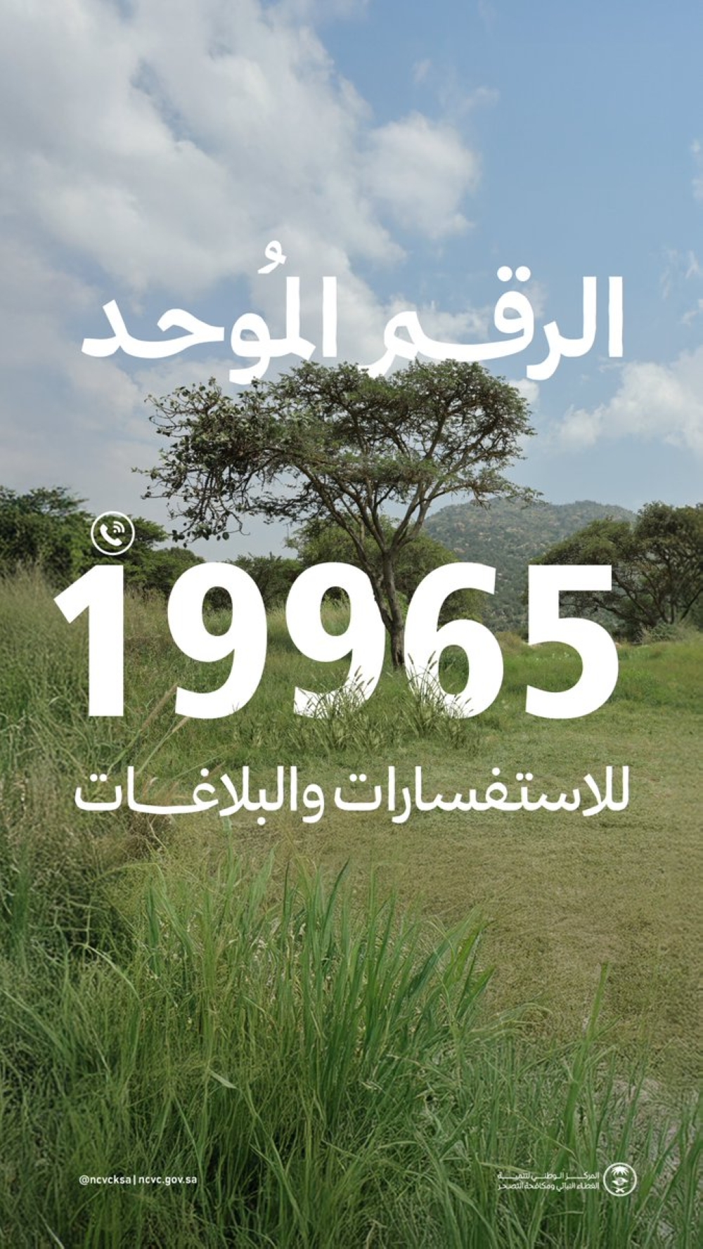 عبر-الرقم-الموحد.-“الغطاء-النباتي”-يعلن-إتاحة-مجموعة-من-الخدمات