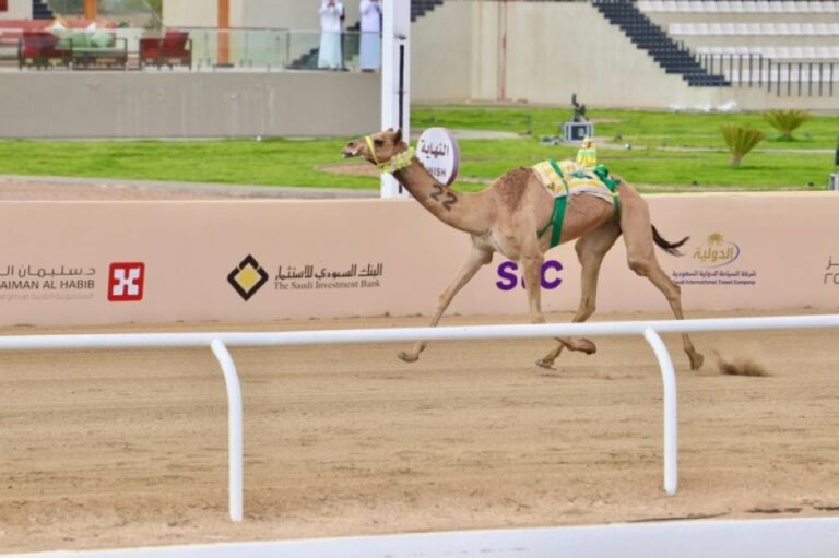 العتيبي:-يستاهلون-أبناء-الوطن-الكأس-الغالية