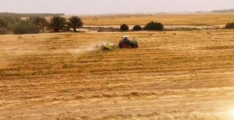 “الفاو”-تُشيد-بـ”ريف-السعودية”:-تجربة-رائدة-ومُلهمة-في-التنمية