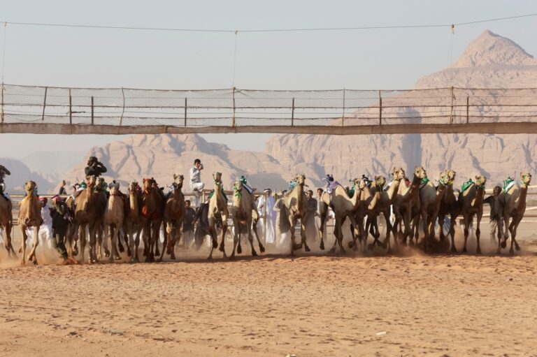 إعلان-البرنامج-الزمني-لكأس-الأولمبية-السعودية-للهجن-في-رماح