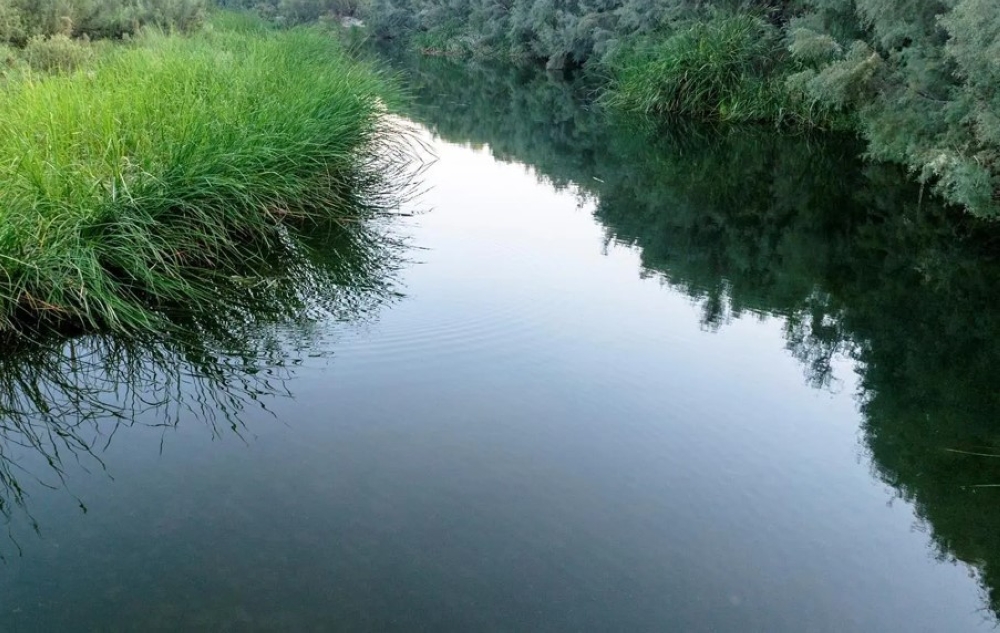 صور-|-وادي-تربة.-إرث-تاريخي-عريق-ووجهة-سياحية-بمكة-المكرمة