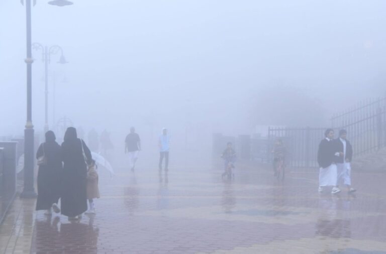 ضباب-على-الشرقية-ورياح-نشطة-في-4-مناطق.-تفاصيل-طقس-اليوم