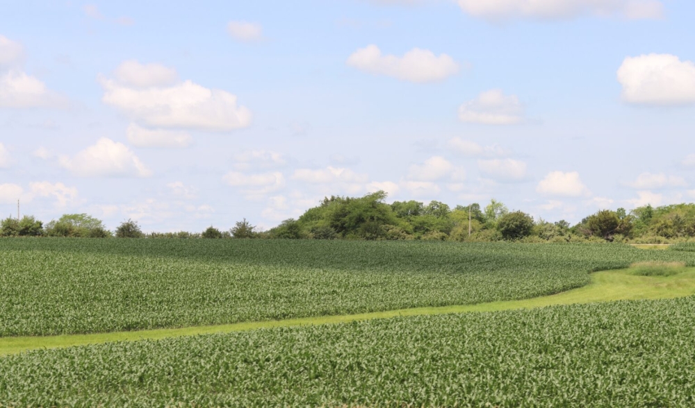 حالة-الطقس.-مستقر-على-معظم-المناطق-وضباب-على-مكة-المكرمة-والشرقية