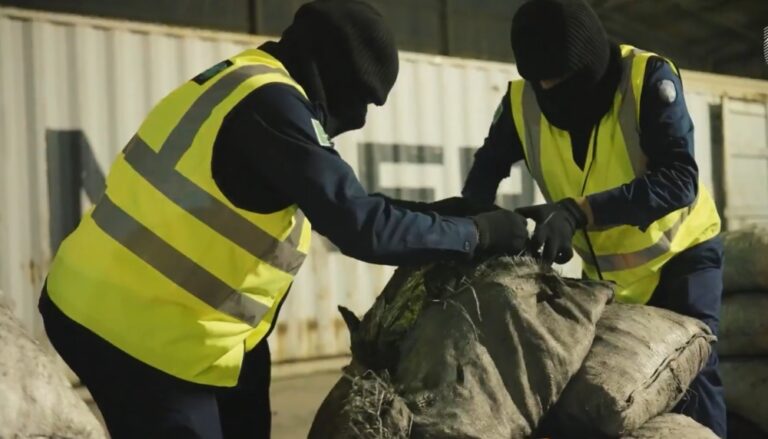 “زاتكا”-تحبط-تهريب-5.3-ملايين-حبة-من-الإمفيتامين-في-إرسالية-فحم