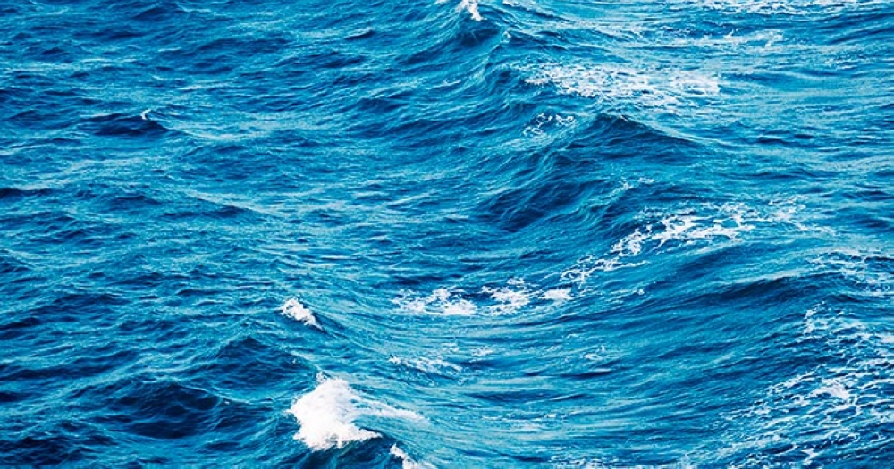 عاجل:-نتائج-دراسة-جينية-تكشف-عن-تنوع-أحيائي-غير-مسبوق-في-البحر-الأحمر