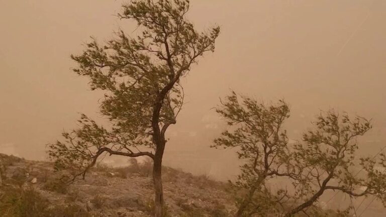 الأماكن-والمواعيد.-أتربة-ورياح-نشطة-على-أجزاء-من-مكة-المكرمة