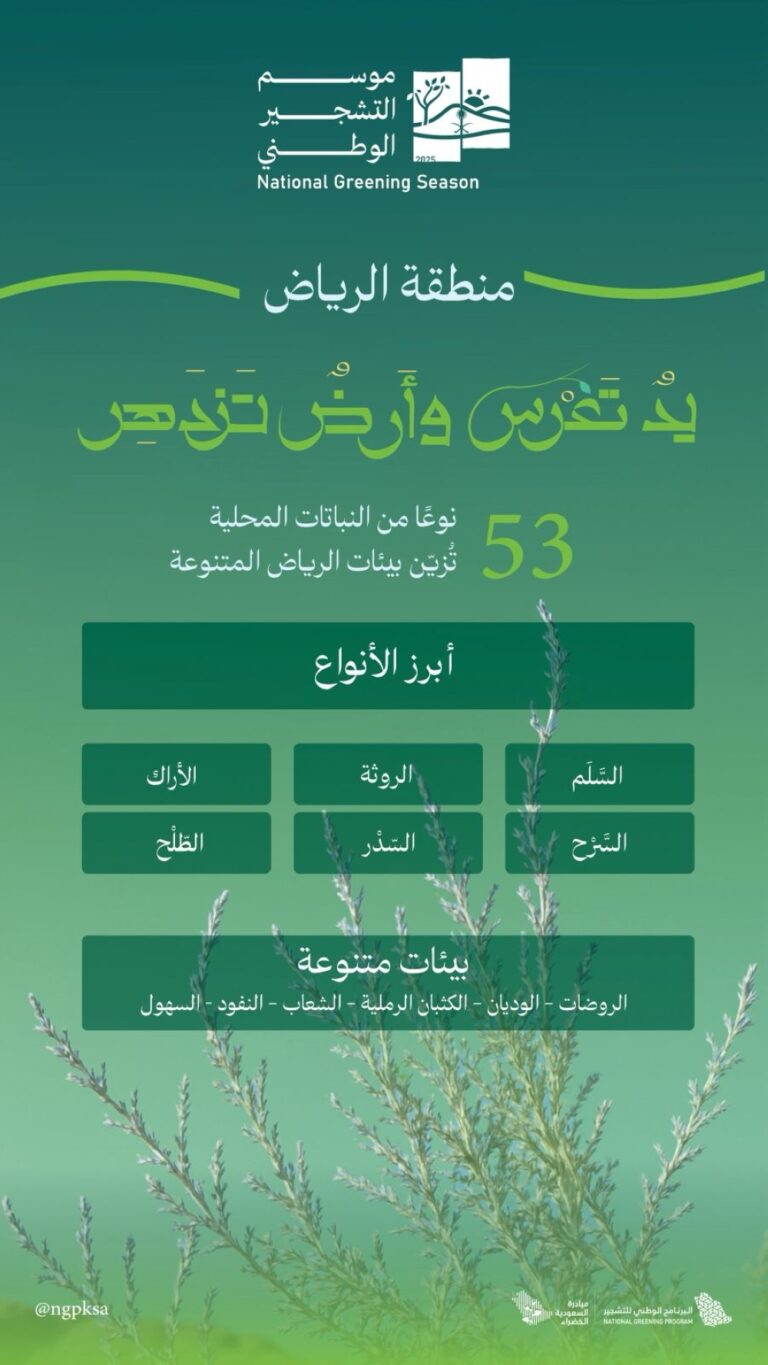 البرنامج-الوطني-للتشجير:-الطلح-والسدر-والسَّلَم-أبرز-النباتات-الملائمة-للرياض