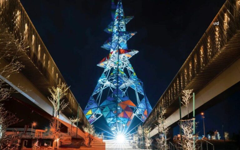 غدا.-الملاكمة-التايلاندية-تنطلق-في-(الرياض-2025)