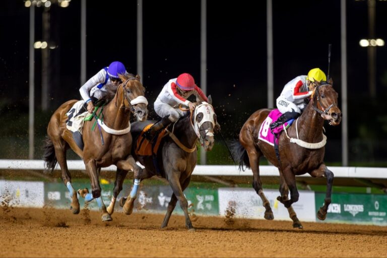 برعاية-أمير-الرياض.-نادي-سباقات-الخيل-ينظم-بطولة-كأس-الوفاء