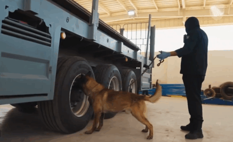 “زاتكا”-تُحبط-تهريب-33-ألف-حبة-إمفيتامين-مخدرة-و21-كيلوغرامًا-من-“الشبو”