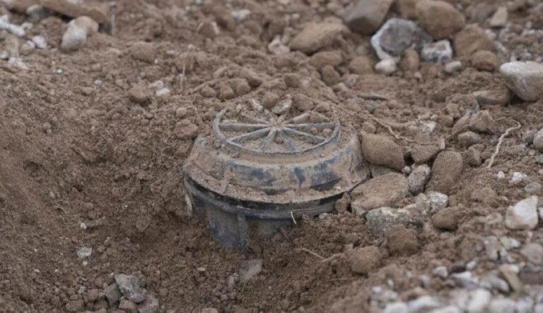 “مسام”-ينزع-1846-لغمًا-من-الأراضي-اليمنية-خلال-7-أيام