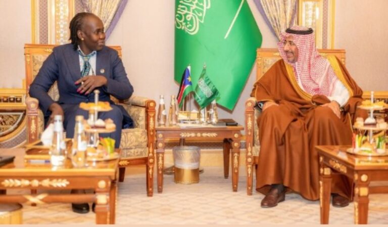 السعودية-وجنوب-السودان-تبحثان-تعزيز-التعاون-الصناعي-والتعديني