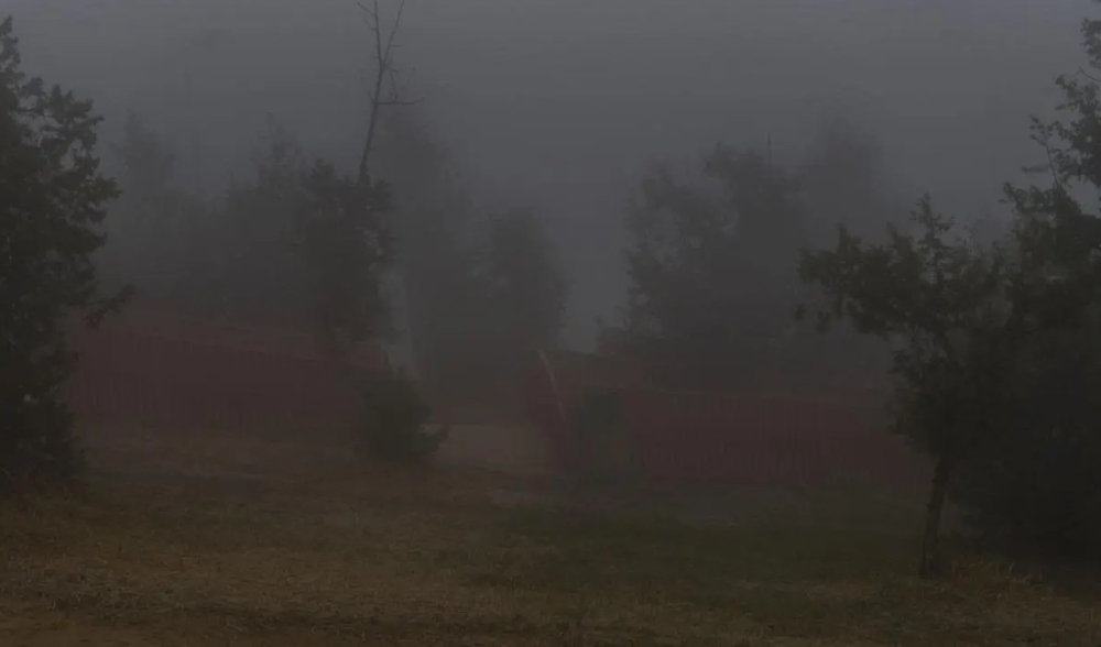 طقس-الصباح-الباكر.-ضباب-وتدني-مدى-الرؤية-على-4-مناطق