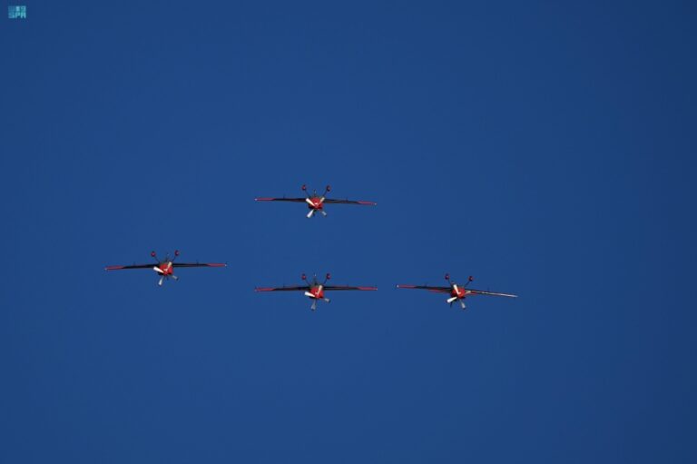 اختتم-بـ90-عرضًا-جويًا.-معرض-الطيران-يحقق-رقمًا-قياسيًا-في-“غينيس”