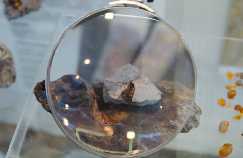 الصين-تكتشف-آثار-أقدام-ديناصورات-يعود-تاريخها-إلى-نحو-200-مليون-عام