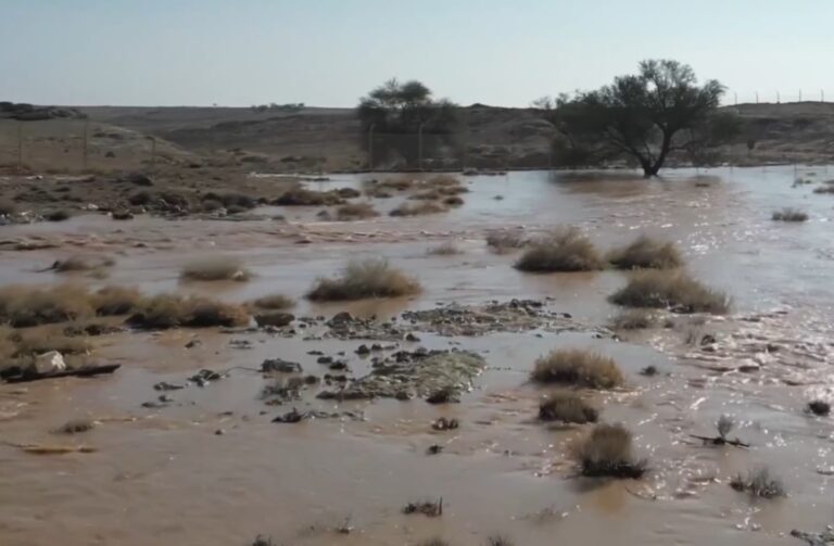 أمطار-الخير-تنعش-الطبيعة-في-محمية-الإمام-تركي-بن-عبدالله-الملكية