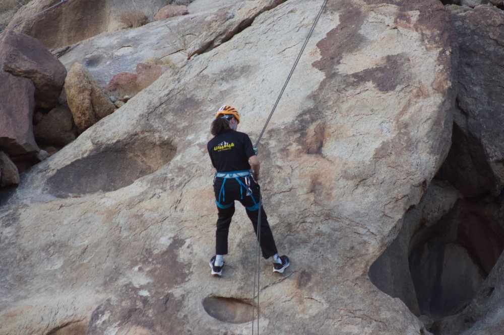 فعاليات ومبادرات بيئية تجوب المملكة احتفاءً بطبيعتها الفريدة 7 فعاليات-ومبادرات-بيئية-تجوب-المملكة-احتفاءً-بطبيعتها-الفريدة