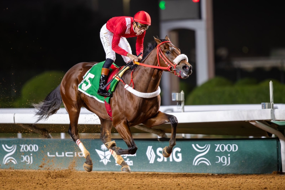 الرائع الضرب للإسطبل الابيض بطلاً لكأس الحرس الوطني 47 الرائع-الضرب-للإسطبل-الابيض-بطلاً-لكأس-الحرس-الوطني