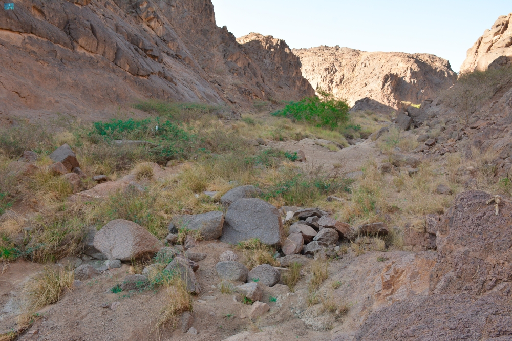 وادي مغيدد في نجران.. بيئة مناسبة للتنزه والاستمتاع بجمال الطبيعة 21 وادي-مغيدد-في-نجران.-بيئة-مناسبة-للتنزه-والاستمتاع-بجمال-الطبيعة