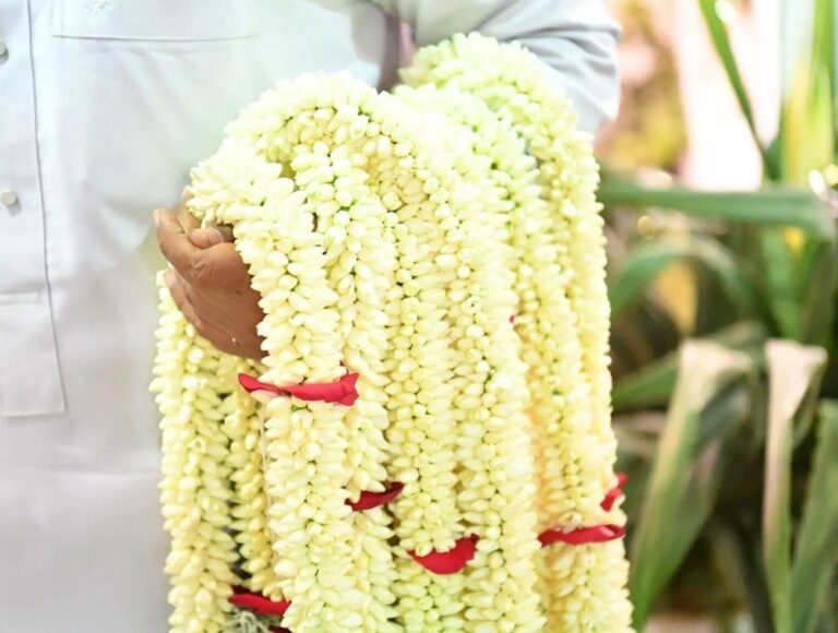 الأعشاب-العطرية.-زينة-الرأس-وعبير-التراث-في-جازان