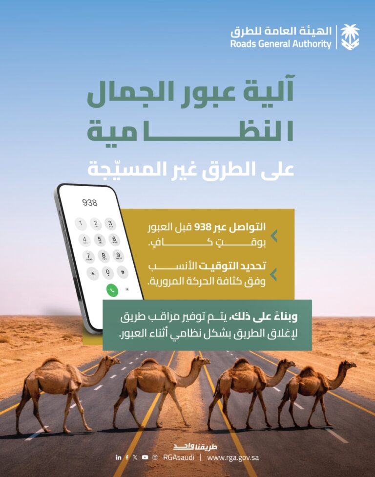 عاجل:-“الطرق”-توصي-مُلاك-الإبل-بتنسيق-عبور-الطرق-غير-المسيجة-عبر-رقم-938