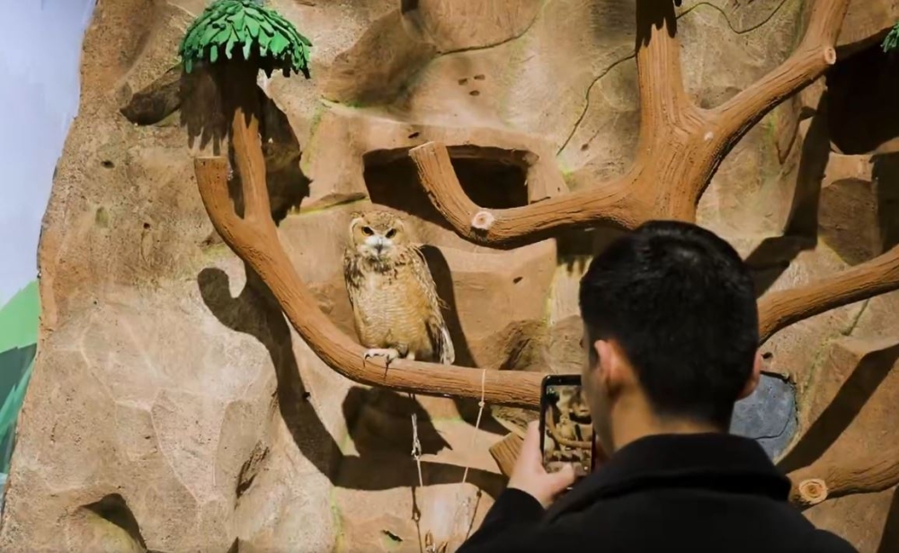 "بيت بيردز".. تجربة تفاعلية داخل عالم الطيور في موسم الرياض 10 “بيت-بيردز”.-تجربة-تفاعلية-داخل-عالم-الطيور-في-موسم-الرياض