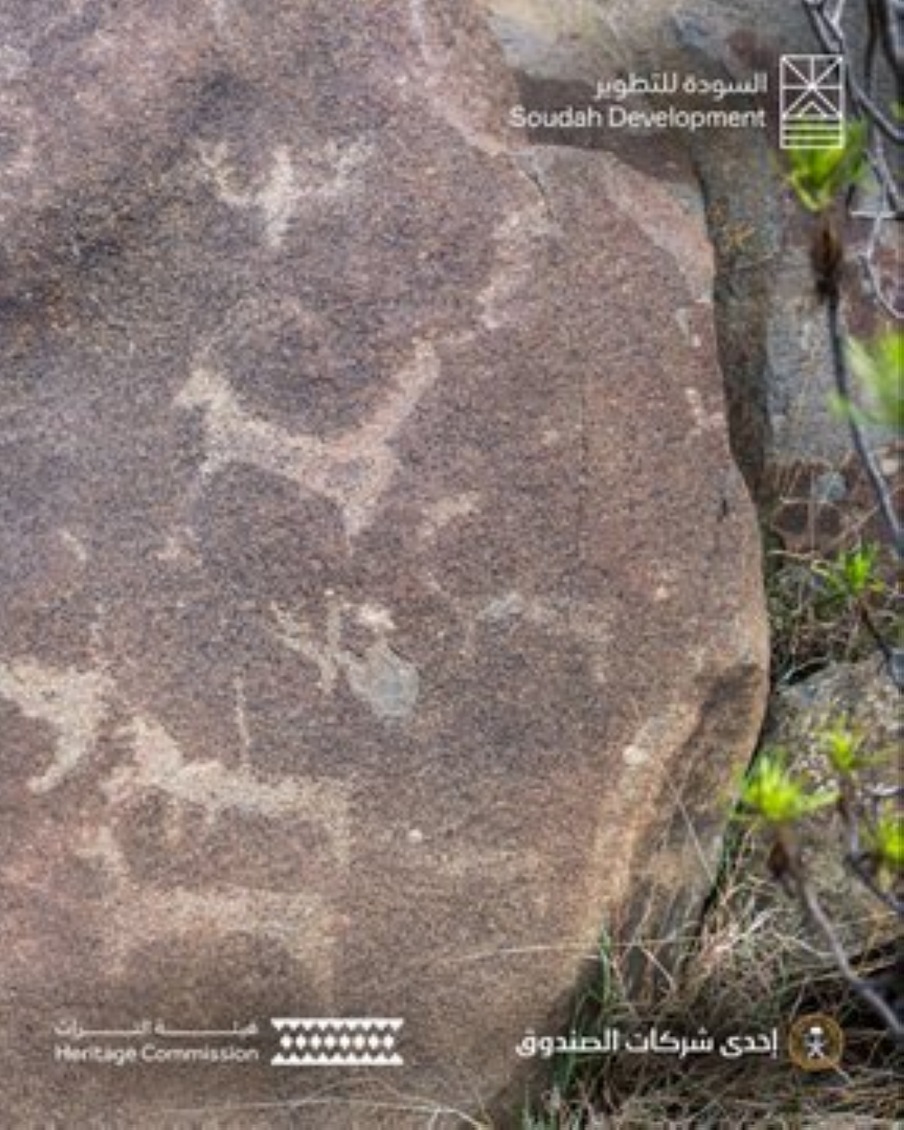 اكتشاف-20-صخرة-تحمل-نقوشًا-أثرية-في-مشروع-“قمم-السودة”