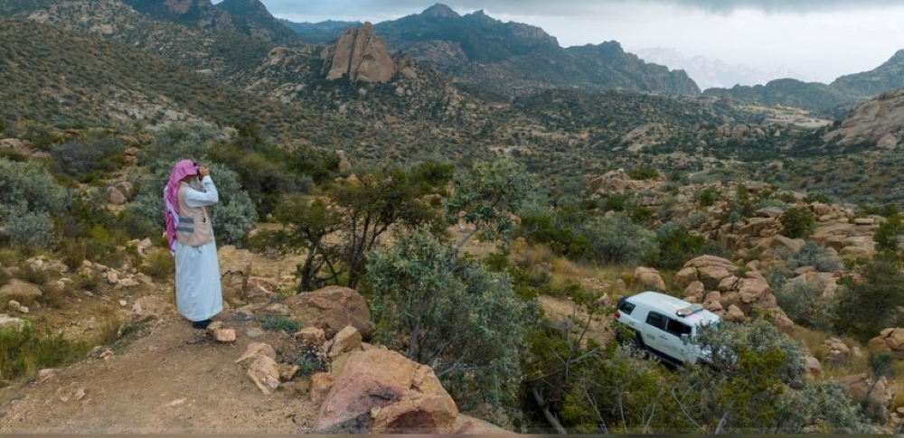 الهيئة-الملكية-لمحافظة-العُلا-تحظر-القيادة-بأراضي-الغطاء-النباتي